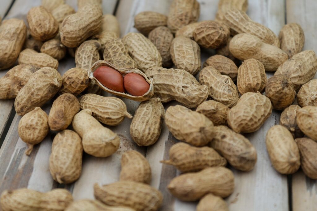 酵素ドリンクダイエットの効果は何日で出るの？
