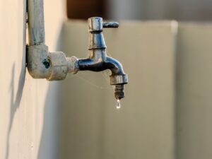 酵素ドリンクによる水分補給の効果とは？